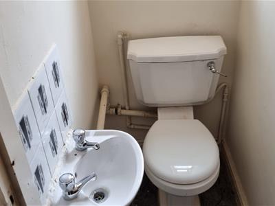 Picture 15